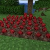 Thumbnail of related posts 012