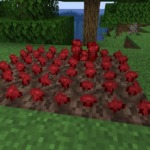 Thumbnail of post image 010