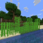 Thumbnail of post image 055