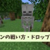 【マイクラ攻略】スケルトンは盾を持って戦おう！戦い方や対策、ドロップアイテムを解