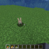 【マイクラ】ウサギの繁殖や連れて帰る方法を解説。ウサギの足が手に入る確率は？【Mi
