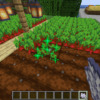 【マイクラ攻略】骨粉の作り方や入手方法、使い道を解説。自動化装置で作物も木も育て