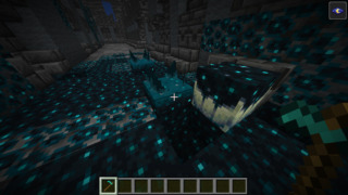 Thumbnail of post image 011