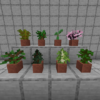 【マイクラ】苗木の種類や集め方、育て方を解説。ちゃんと育つ植え方も紹介【Minecraf