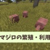 【マイクラ攻略】アルマジロはクモの目で増やそう！見つかるバイオームや取れるアイテ