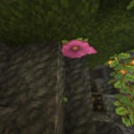Thumbnail of post image 080