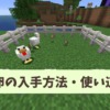 【マイクラ攻略】卵の入手方法や種類、使い道など解説。簡単な卵自動回収装置も紹介！