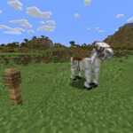 Thumbnail of post image 085