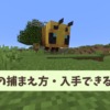 【マイクラ攻略】ミツバチ(ハチ)の捕まえ方や増やし方を解説。アイテムを安全に回収す