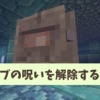 【マイクラ攻略】敵モブの呪いの効果や解除する方法を解説 | エルダーガーディアン対