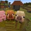 【マイクラ】ブタの新種や落ち葉を追加するアップデートの情報まとめ【Minecraft】