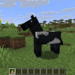Thumbnail of post image 050
