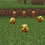 Thumbnail of post image 067