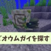 【マイクラ攻略】レアなサンゴ模様も!ゾンビオウムガイがスポーンする場所や乗り方、