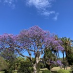 Thumbnail of post image 091